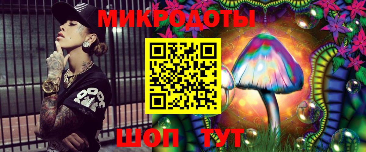 Псилоцибиновые грибы прущие грибы Сегежа