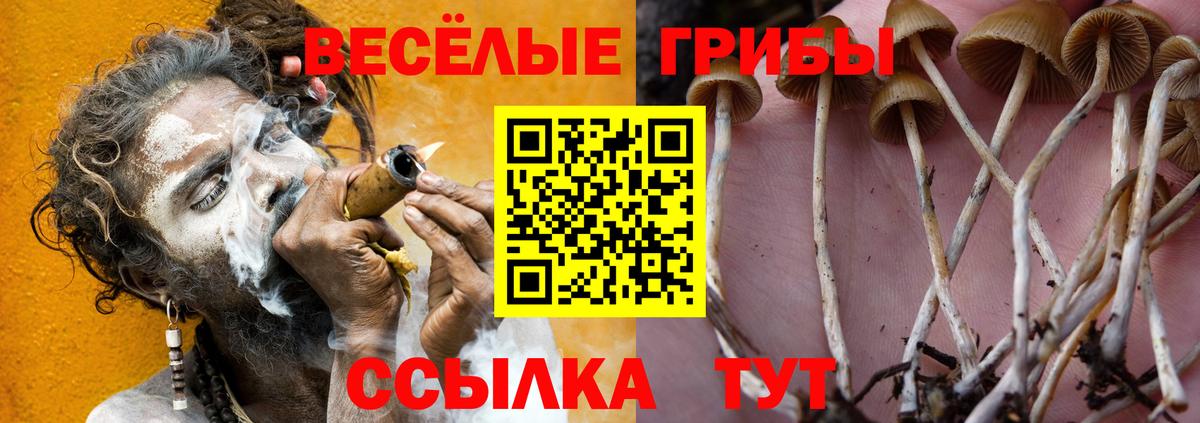 как найти закладки  Псилоцибиновые грибы ЛСД  Галлюциногенные грибы ЛСД  Вход с VPN  Сегежа 